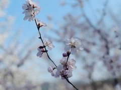 -居庸关长城