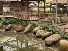 -上海都市菜园