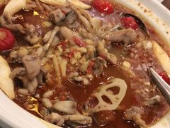 -付掌柜在成都·热炒砂锅集(金禾店)