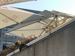 -UNI UNI(环亚凯瑟琳店)