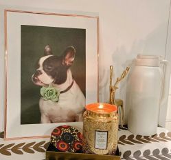 -SCENT BOUTIQUE