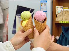 -成裕雪糕店(士多店)