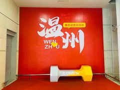 -温州龙湾国际机场-T2航站楼