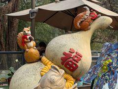 -丽泽山庄·生态怀柔菜·虹鳟鱼(红螺寺店)
