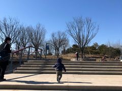 -东郊湿地公园