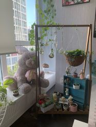 -Hi Skin皮肤管理中心