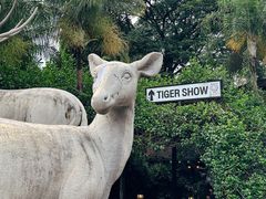 -清迈夜间动物园