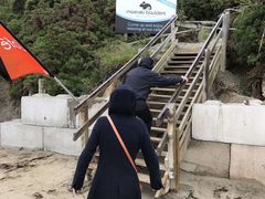 -摩拉基大圆石