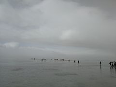 -青海茶卡盐湖文化旅游发展股份有限公司