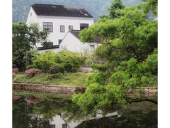 -树山生态村