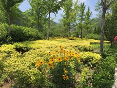 -龙口南山旅游景区