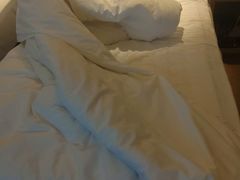 -世纪缘湖滨花园酒店(玄武湖店)