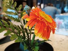 -T館·花园艺术餐厅