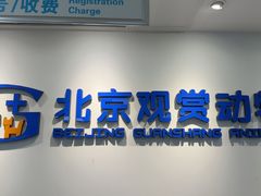 -北京观赏动物医院·24小时大型综合·猫专科·异宠专科