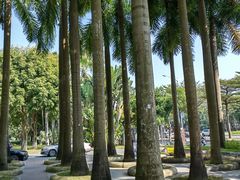 -深圳国际园林花卉博览园