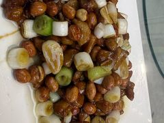 -陈麻婆豆腐(旗舰店)