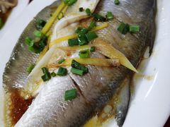 -蛇口康乐快餐鱼仔档(翠苑小区店)