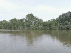 -大湾区中央湿地公园