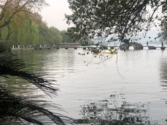 -星巴克(西湖天地店)