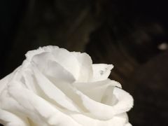 -街角等你.大连海鲜烧烤.经典铁板海鲜串(西安路店)