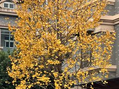 -午潮山国家森林公园