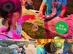 -沈阳海洋探索中心