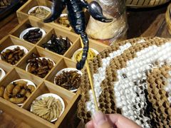-昆虫窝子·特色云南菜(拓东路总店)