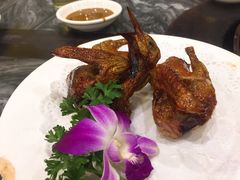 -鸽鸟轩(石岐店)