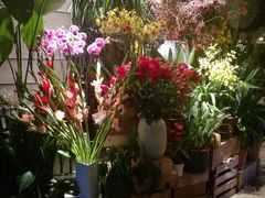 -春暖花开(西溪店)