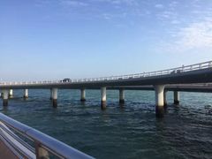 -演武大桥观景平台