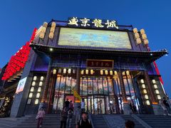 -中街·盛京龙城