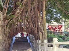 -乌山风景区