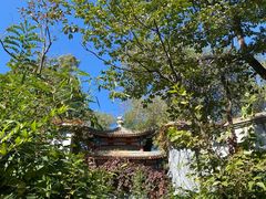 -北京西山国家森林公园