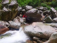 -青峰峡国家森林公园