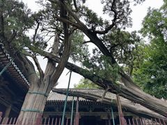 -晋祠博物馆