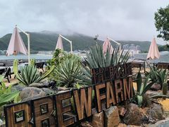 -Brew Farm·精酿农场海滨悬崖餐厅