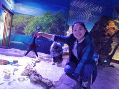 -多彩贵州城极地海洋世界