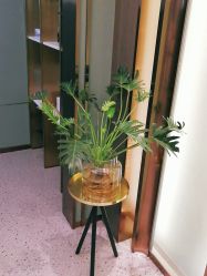-苗方清颜·祛痘皮肤管理