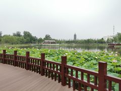 -西海子公园