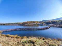 -塞罕坝国家级自然保护区