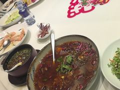 -同庆楼(奥体中心店)