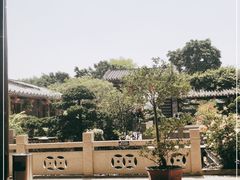 -顺德了能馆(虎门店)