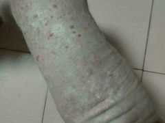 -佳百利宠物(荣乐中路115弄小区店)