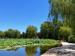 -太阳宫公园