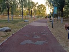 -天津东丽湖风景区