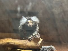-上海大自然野生昆虫馆
