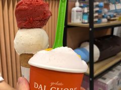 柿子-Dal Cuore 达可芮冰淇淋(陕西北路店)