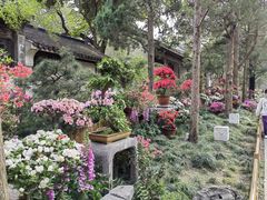 -惠山古镇·寄畅园