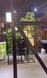 -藤野造型