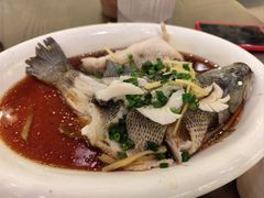 -HOHO餐厅(古子城店)